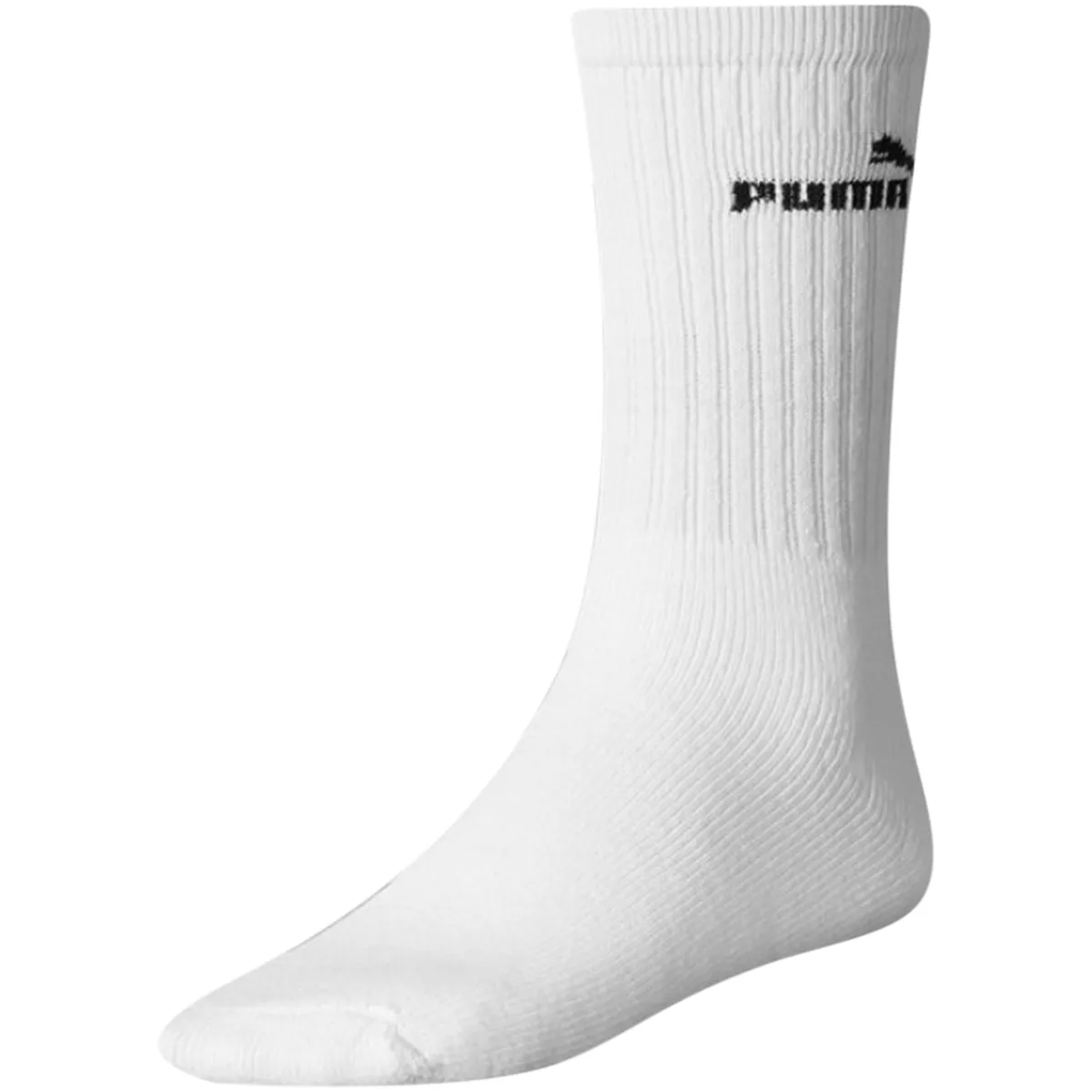 CS323
