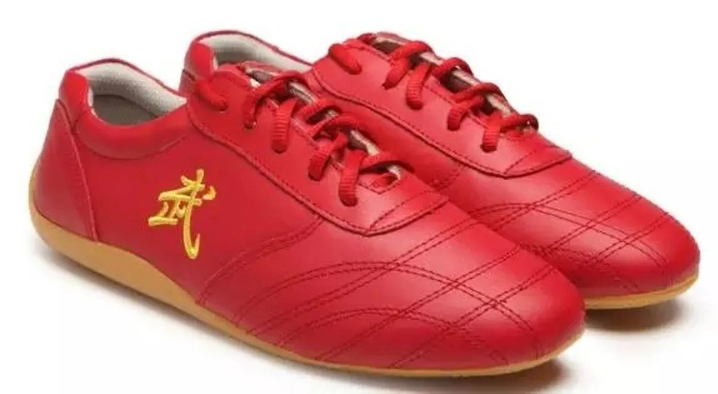 CUERO SUAVE KUNGFU TAICHI ZAPATOS CON BORDADO