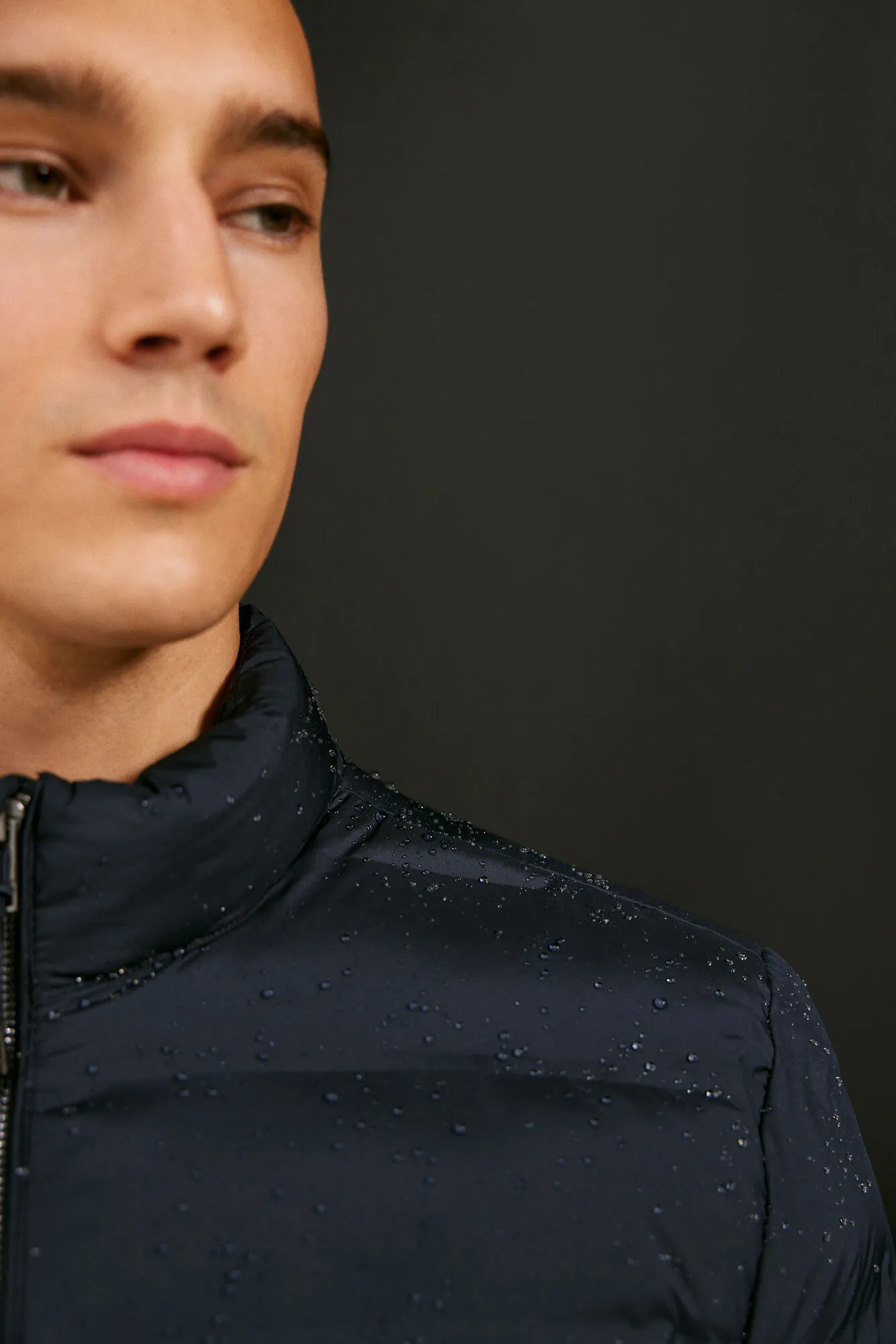 Springfield Chaqueta acolchada termosellada