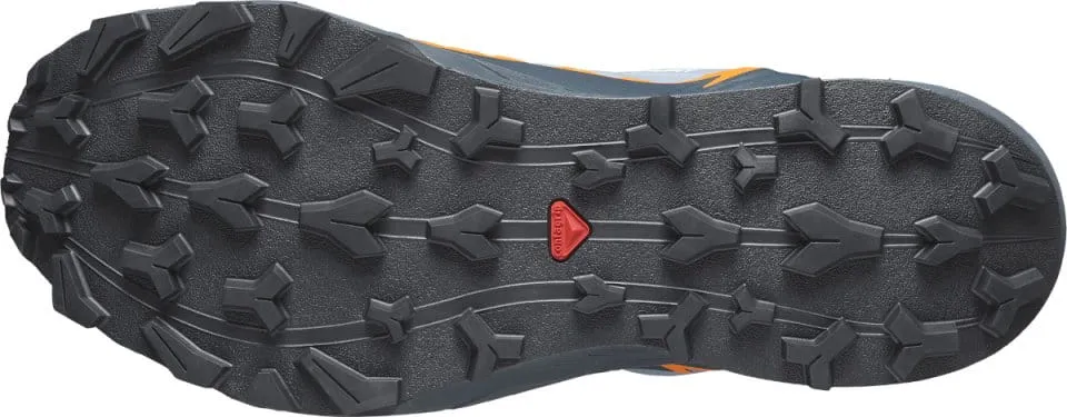Zapatillas para trail Salomon THUNDERCROSS GTX